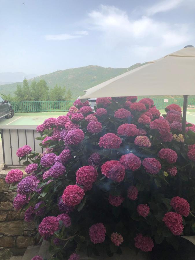U Campanile Hotel